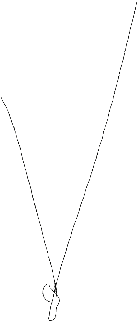 Nauha
